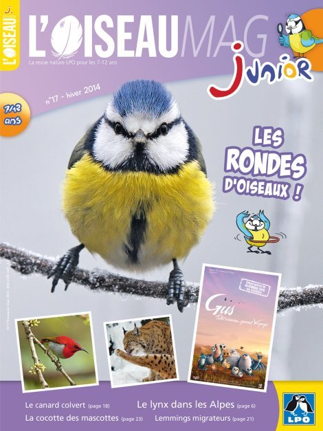 L'OISEAU MAG Junior n°17 - Les Rondes d'oiseaux