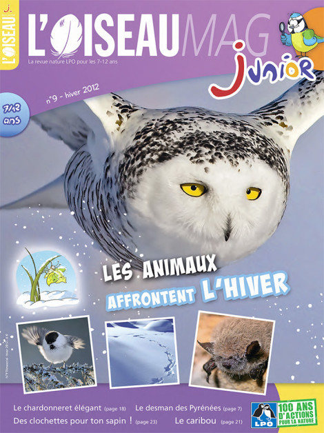 L'OISEAU MAG Junior n°9 - Les Animaux affrontent l'hiver