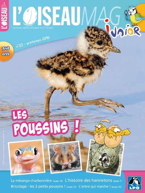 L'OISEAU MAG Junior n°22 - Les poussins !