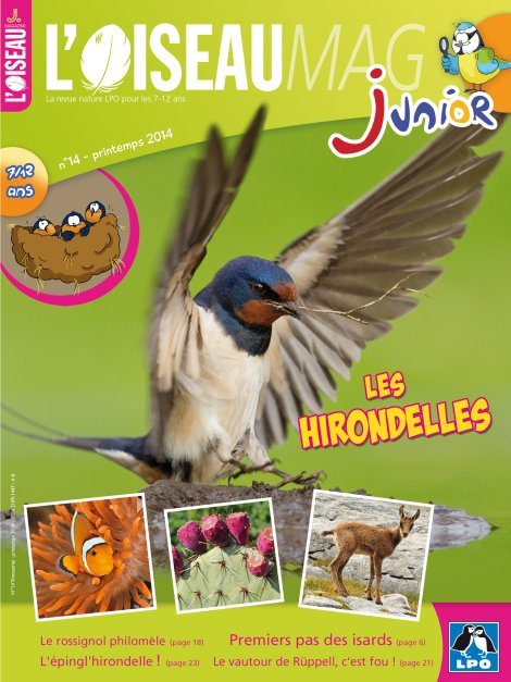 L'OISEAU MAG Junior n°14 - Les Hirondelles