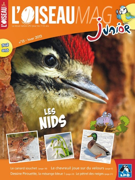 L'OISEAU MAG Junior n°13 - Les nids