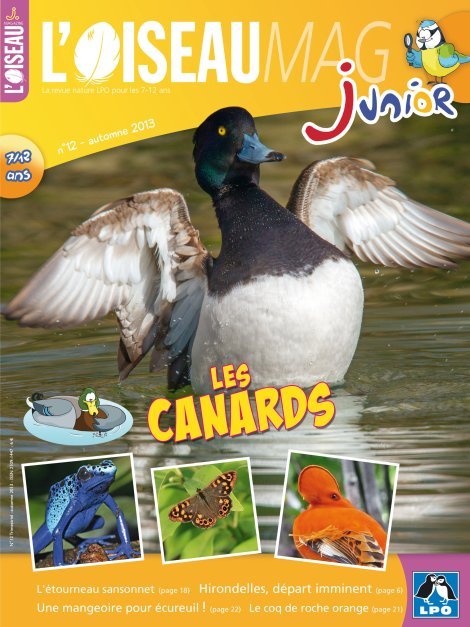 L'OISEAU MAG Junior n°12 - Les Canards