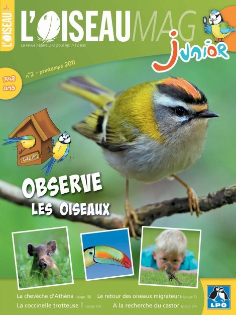 L'OISEAU MAG Junior n°2 - Observe les oiseaux