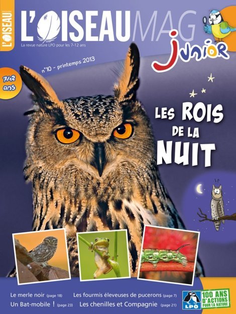 L'OISEAU MAG Junior n°10 - Les Rois de la nuit