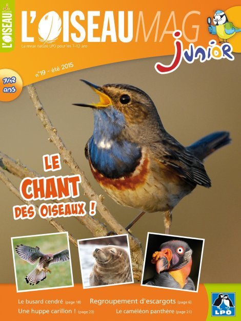 L'OISEAU MAG Junior n°19 - Le Chant des oiseaux