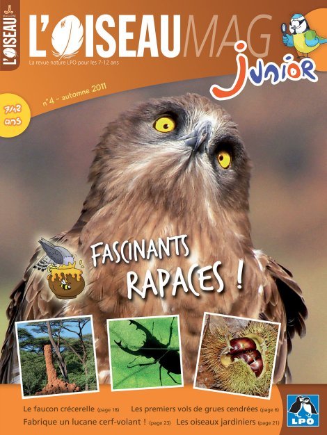 L'OISEAU MAG Junior n°4 - Fascinants rapaces