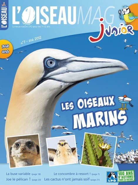 L'OISEAU MAG Junior n°7 - Les Oiseaux marins