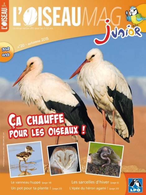 L'OISEAU MAG Junior n°20 - Ca chauffe pour les oiseaux !