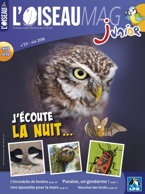 L'OISEAU MAG Junior n°23 - J'écoute la nuit…