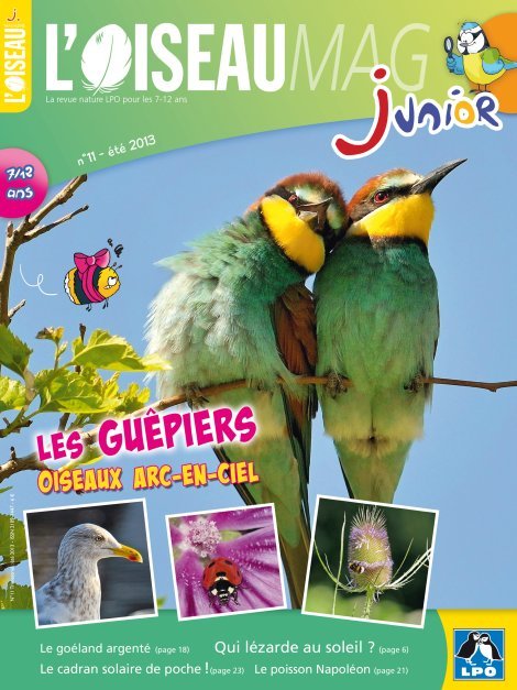 L'OISEAU MAG Junior n°11 - Les Guêpiers