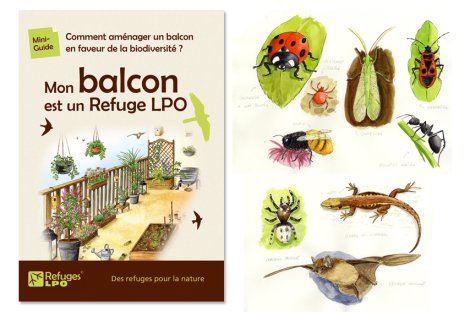 Livret Balcon Refuges LPO