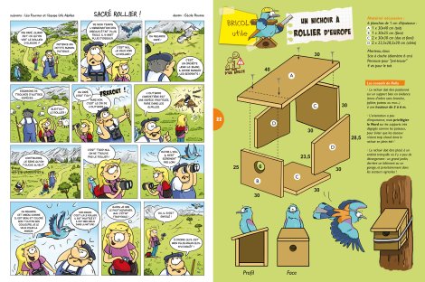 BD et Bricolage - L'OISEAU MAG Junior n°HS n° 1 Oiseaux des Alpilles