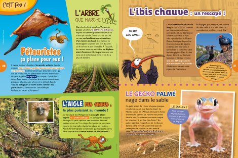 C'est fou ! - L'OISEAU MAG Junior n°22