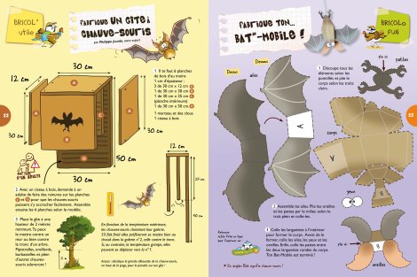 Bricolages - L'OISEAU MAG Junior n°10