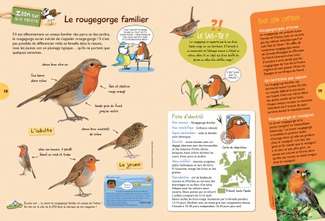 Zoom Rougegorge - L'OISEAU MAG Junior n°5